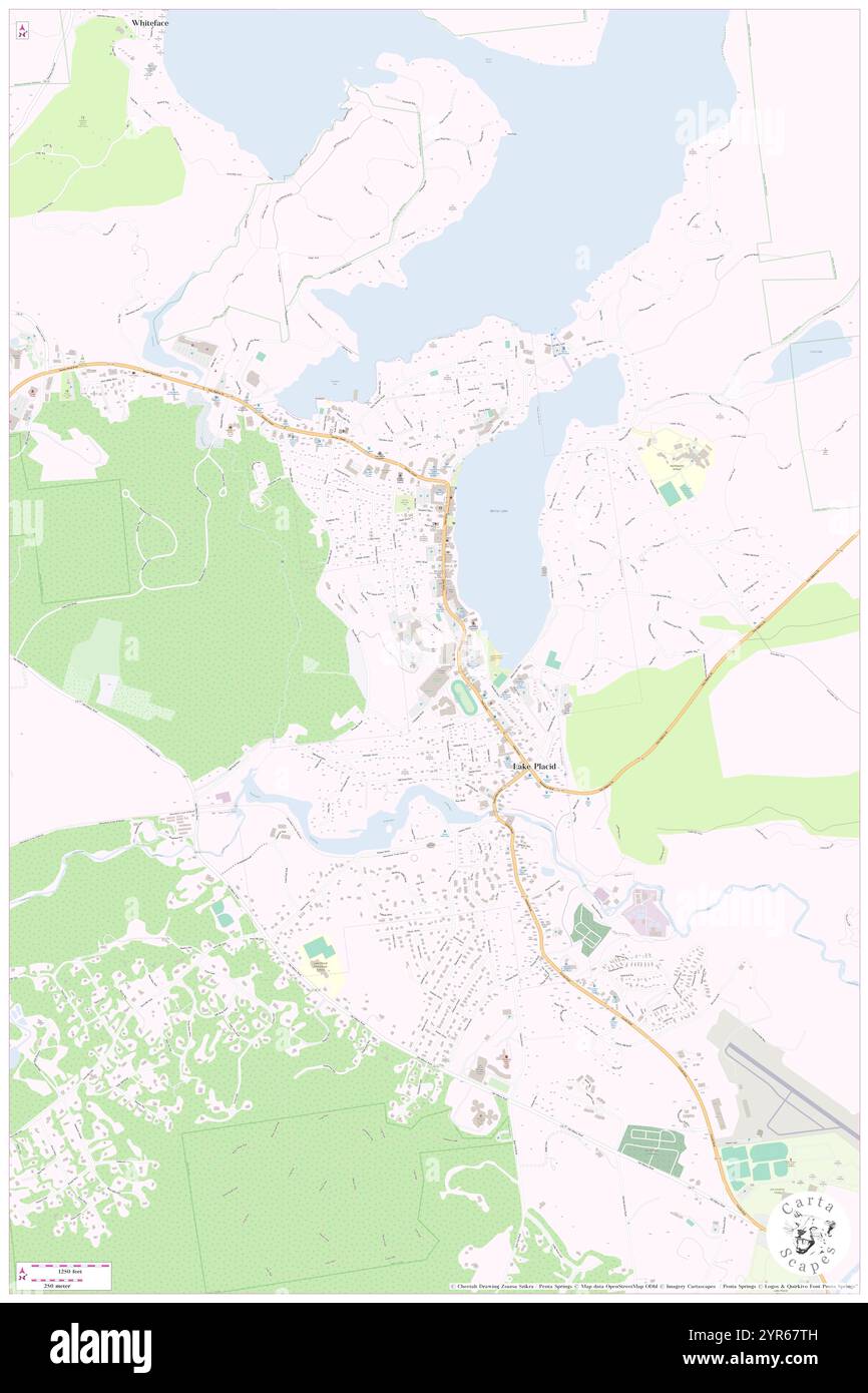 Village of Lake Placid, Essex County, Stati Uniti, New York, N 44 17' 1'', S 73 59' 7'', MAP, Cartascapes Map pubblicata nel 2024. Esplora Cartascapes, una mappa che rivela i diversi paesaggi, culture ed ecosistemi della Terra. Viaggia attraverso il tempo e lo spazio, scoprendo l'interconnessione del passato, del presente e del futuro del nostro pianeta. Foto Stock