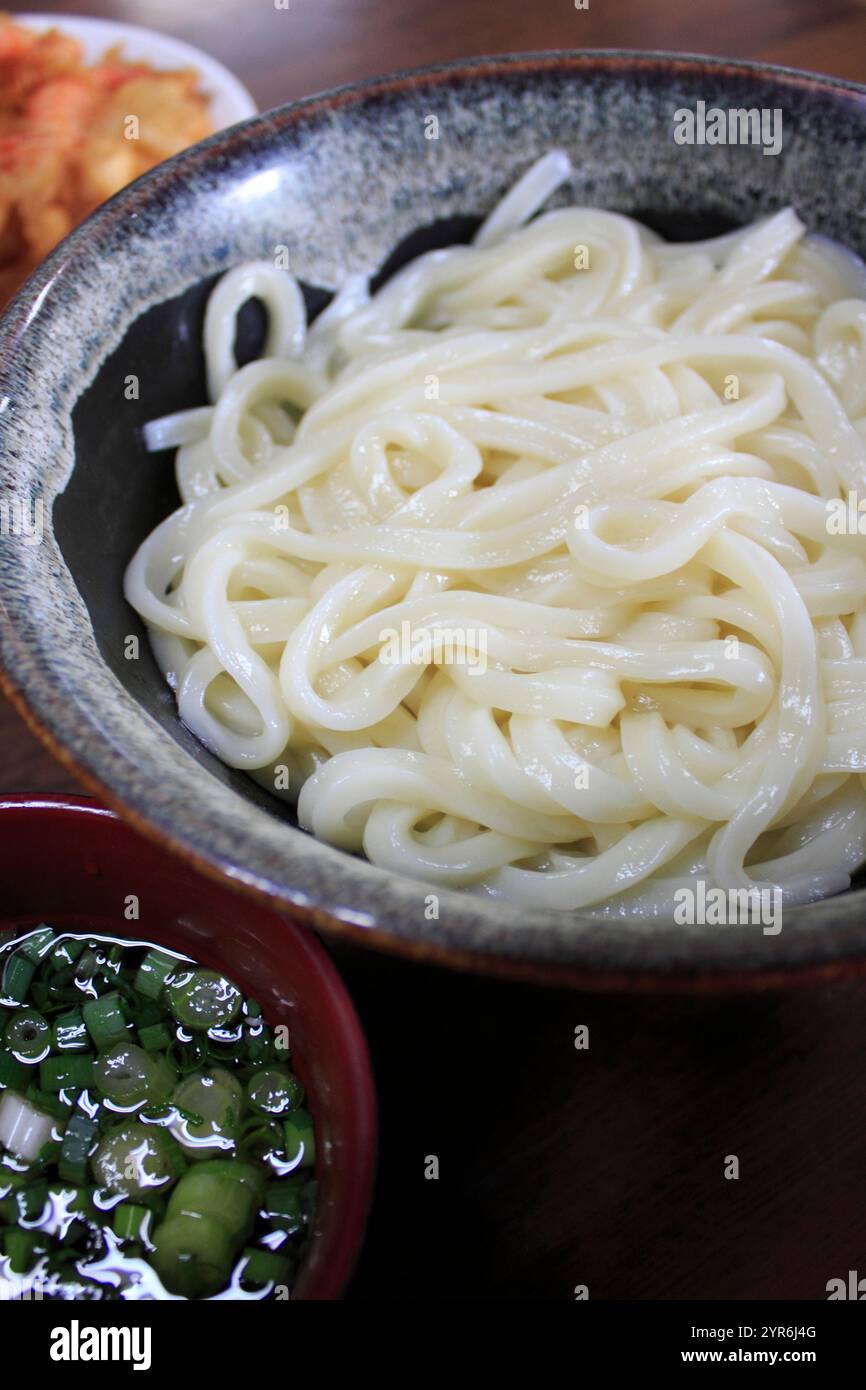 Sanuki Udon Foto Stock