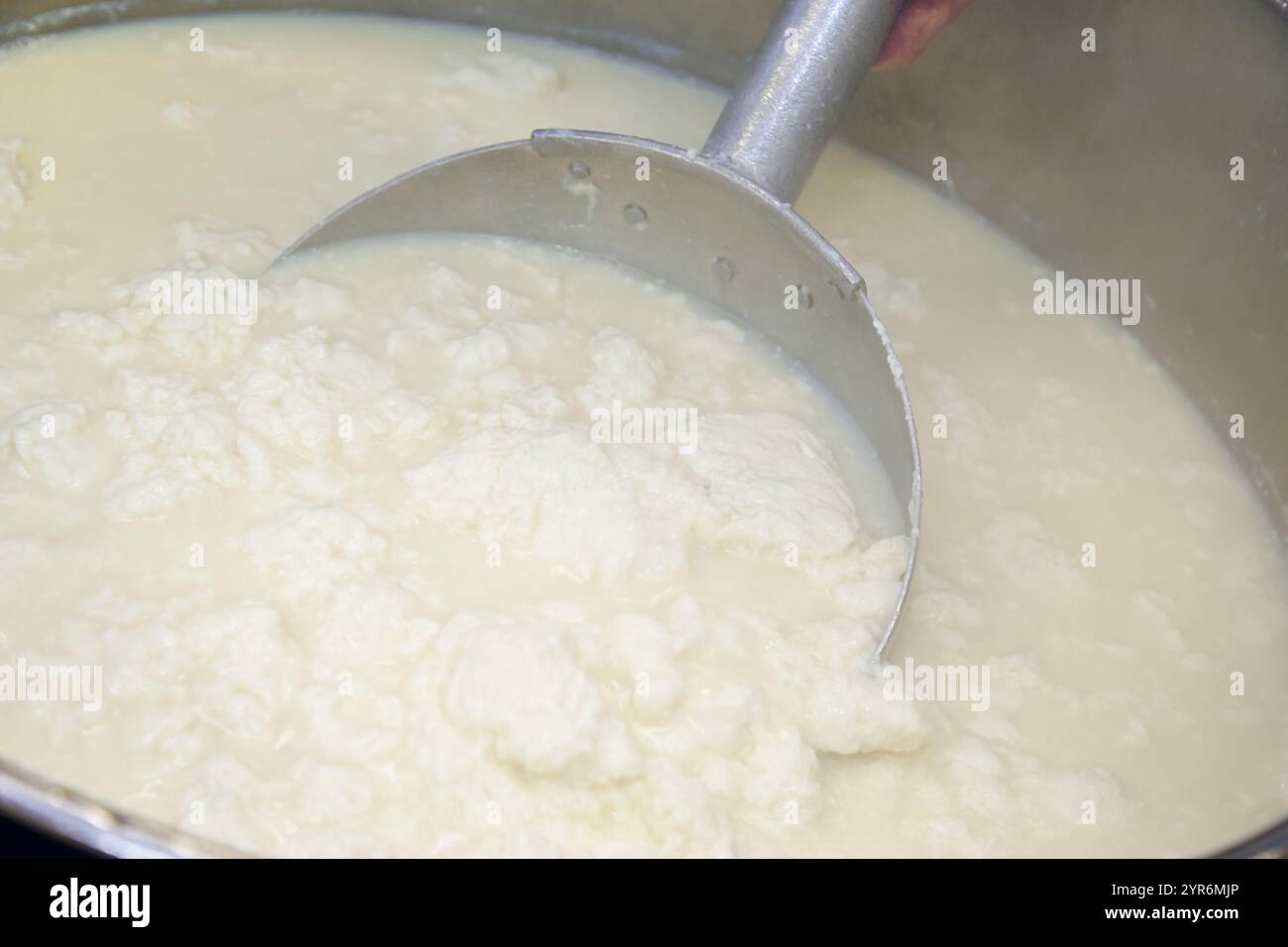 Foto del processo di produzione del tofu Foto Stock