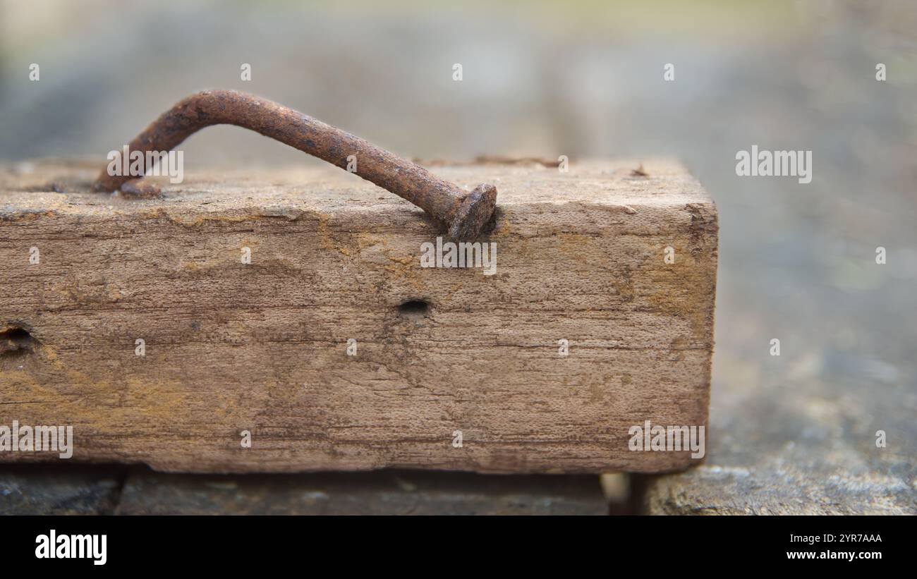 chiodo arrugginito in un pezzo di legno indurito in vista ravvicinata, il chiodo è piegato ad angolo messa a fuoco morbida con sfondo sfocato e spazio di copia Foto Stock