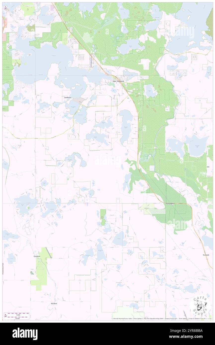 Città di Lake Tomahawk, contea di Oneida, Stati Uniti, Wisconsin N 45 46' 12'', S 89 36' 24''', mappa, Cartascapes Map pubblicata nel 2024. Esplora Cartascapes, una mappa che rivela i diversi paesaggi, culture ed ecosistemi della Terra. Viaggia attraverso il tempo e lo spazio, scoprendo l'interconnessione del passato, del presente e del futuro del nostro pianeta. Foto Stock