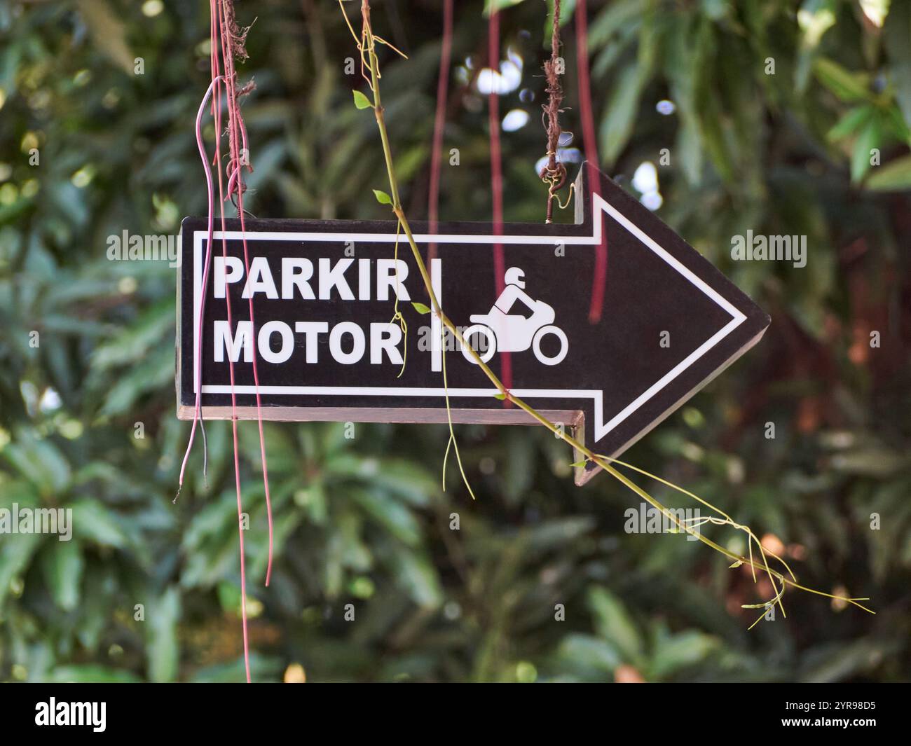 Parcheggio per motociclette. Segnaletica di parcheggio per motociclette con alberi fitti sullo sfondo Foto Stock