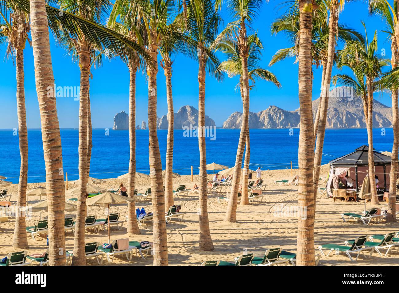 Una splendida spiaggia con palme che costeggiano la riva. La spiaggia è piena di persone che si divertono, si rilassano sulle sedie e prendono il sole Foto Stock