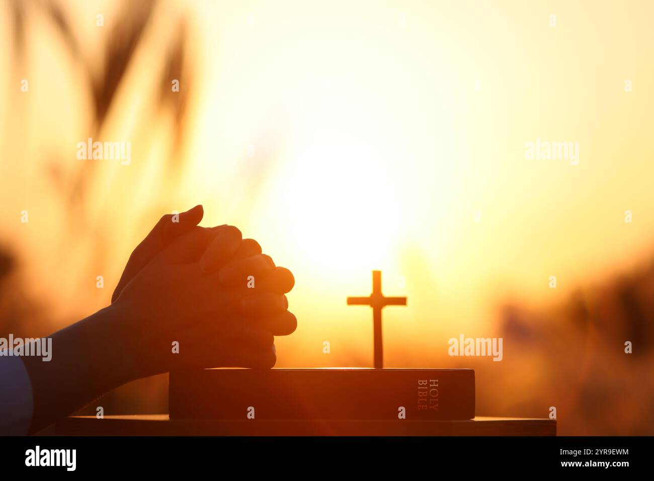 Cristiano che prega con entrambe le mani insieme sulla Santa bibbia, il paesaggio del tramonto del campo d'orzo autunnale, il contesto pasquale del ringraziamento Foto Stock