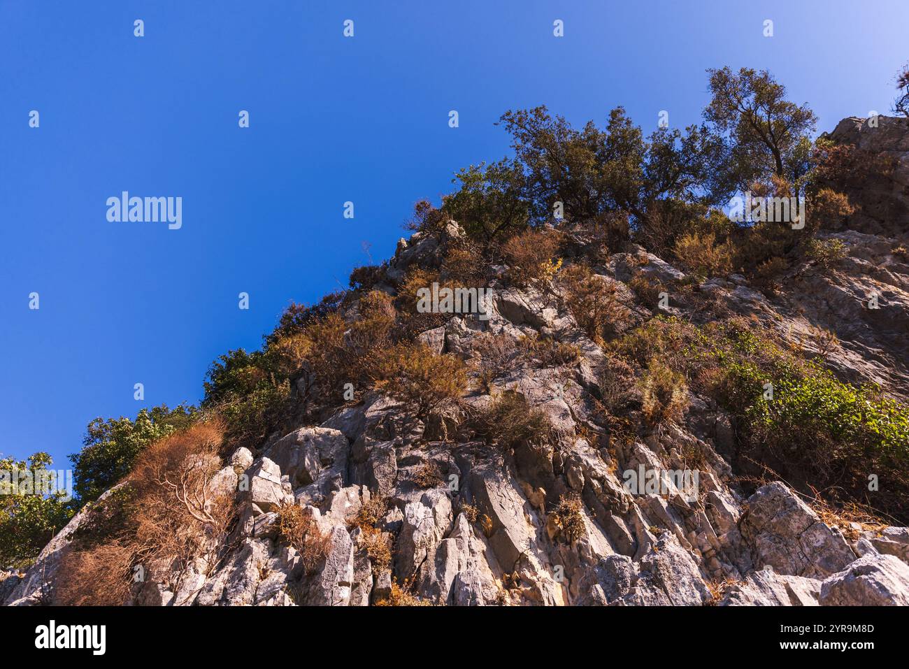 Rocce costiere con alberi in una giornata estiva di sole. Fotografie di paesaggi mediterranei scattate a Iztuzu Beach, Turchia Foto Stock
