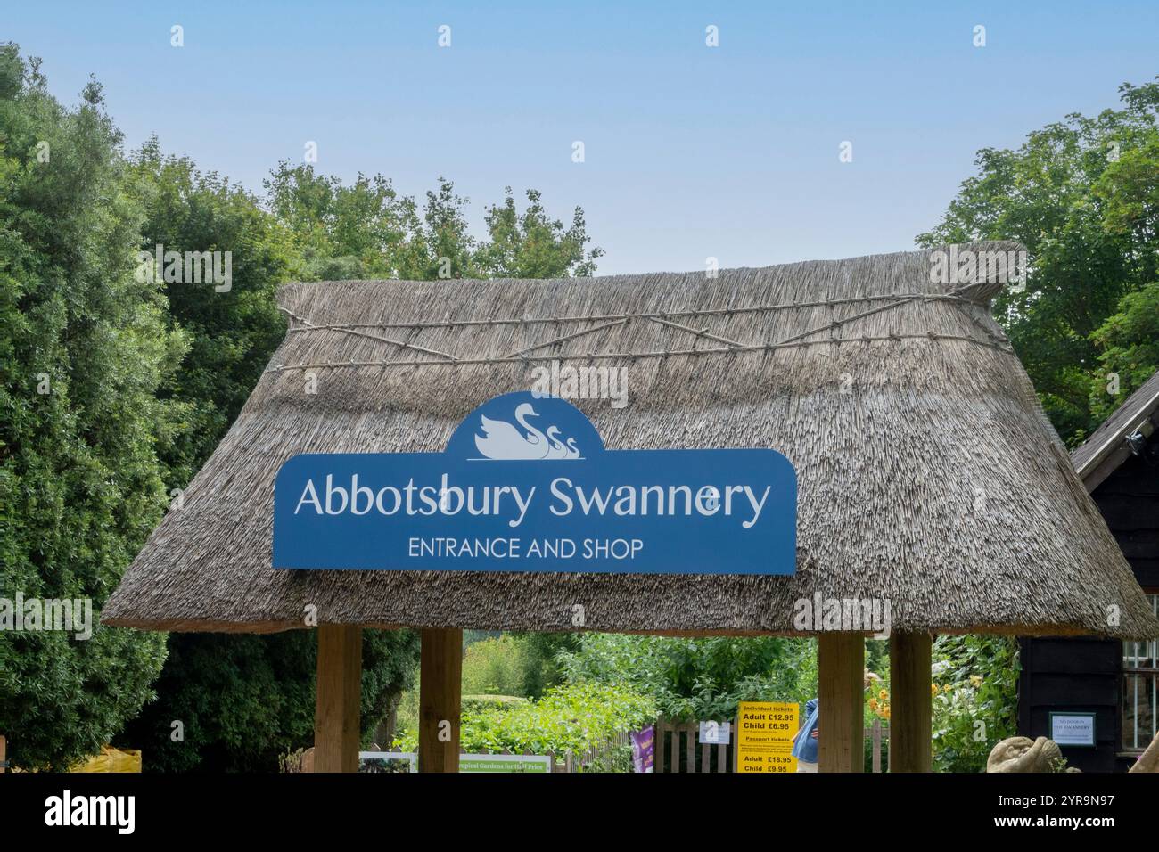 Insegna ad Abbotsbury Swannery, ad Abbotsbury Dorset Regno Unito Foto Stock