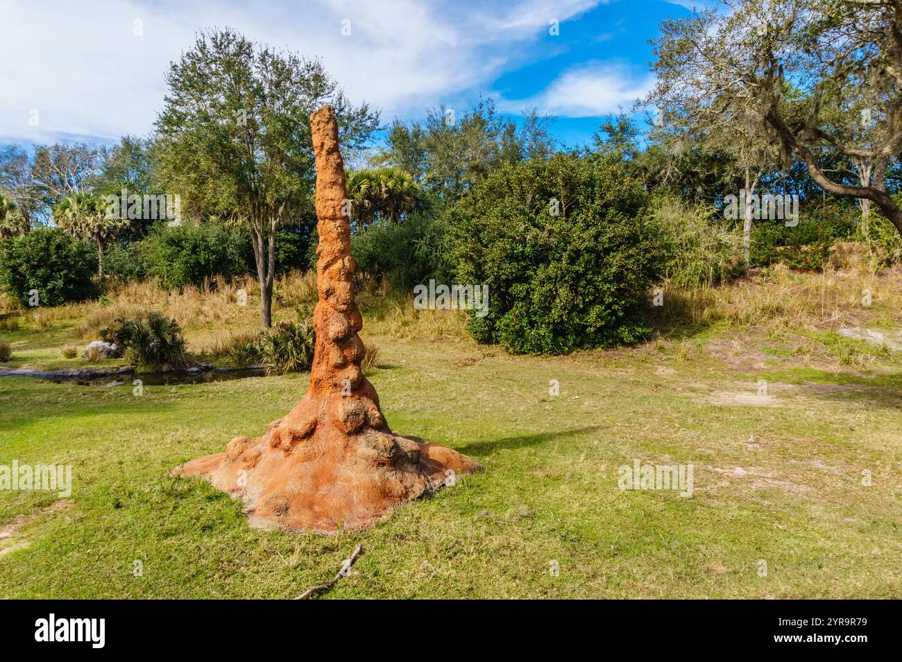 Una grande collina di formiche rosse è in un campo erboso. La collina è circondata da alberi e cespugli Foto Stock