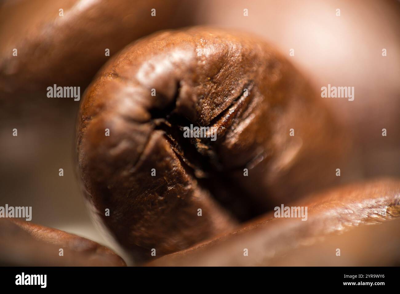 Caffè macinato su sfondo bianco - minimalismo e dettagli Foto Stock