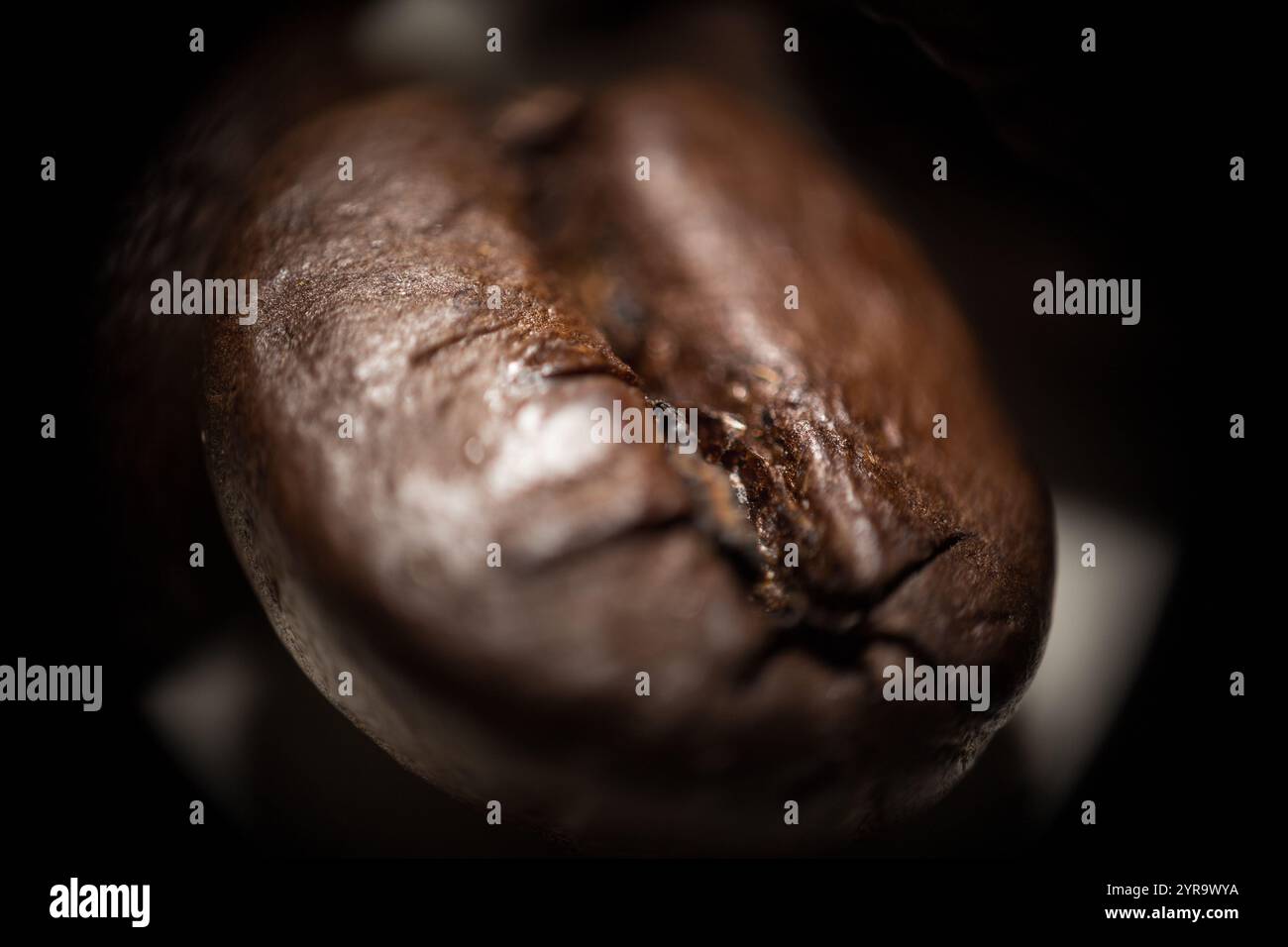 Caffè macinato su sfondo bianco - minimalismo e dettagli Foto Stock