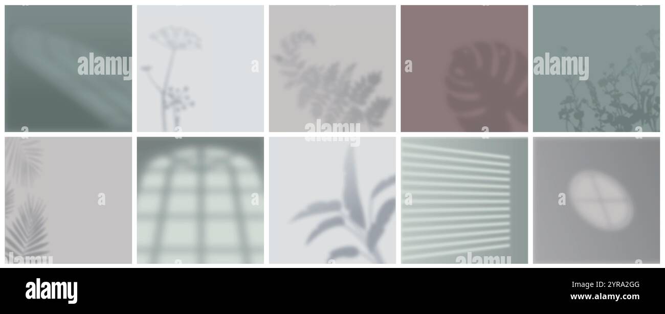 Set di ombre luminose per finestre. Sagome di piante e cornici di finestre su pareti color pastello. Scenografia geometrica e showroom. Raccolta vettoriale realistica Illustrazione Vettoriale