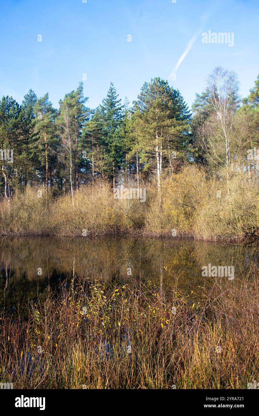 Bella figura a dominio 't Zand, Achterhoek, Gheldria, Olanda Foto Stock