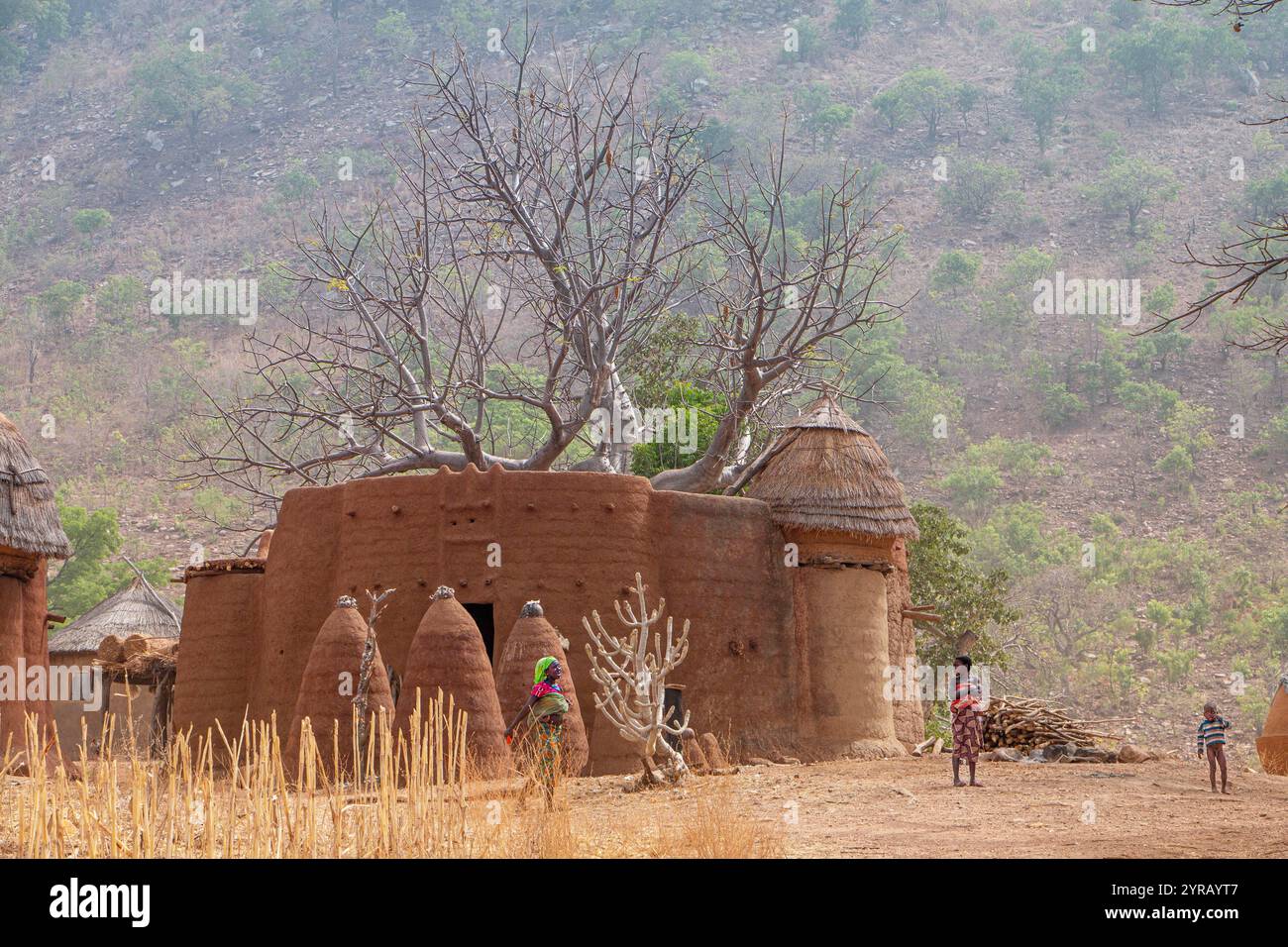 Tradizionale villaggio di argilla in Togo immerso tra erba secca e alberi di Baobab Foto Stock