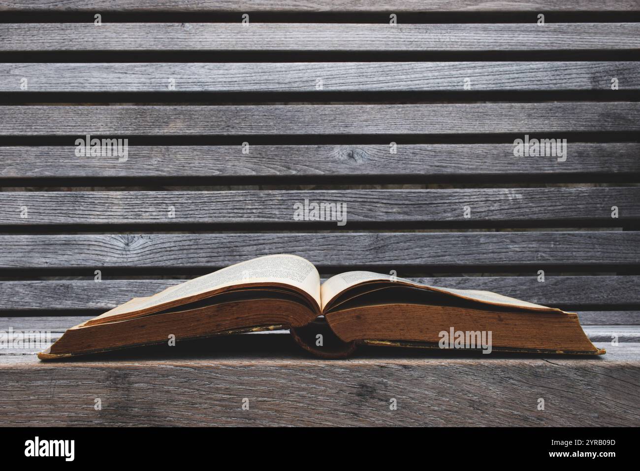Un vecchio libro aperto su una panchina di legno. Foto Stock