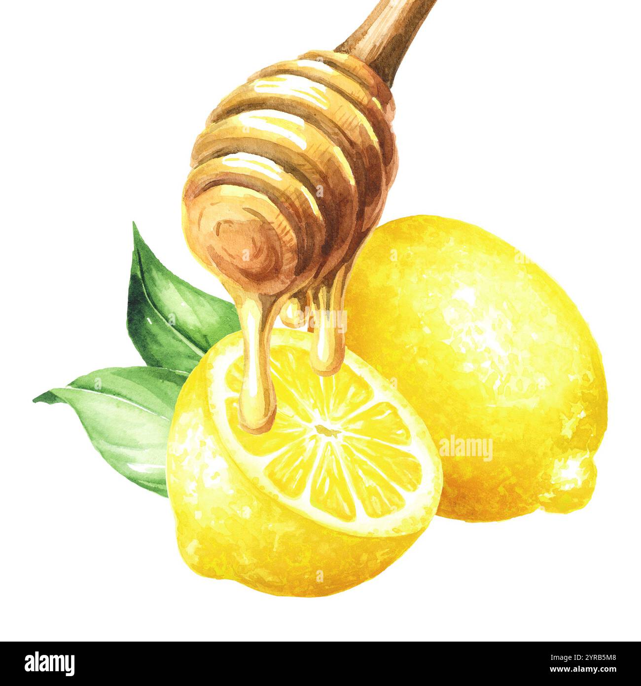 Miele dolce con salsa di legno e limone fresco. Illustrazione ad acquerello disegnata a mano isolata su sfondo bianco Foto Stock