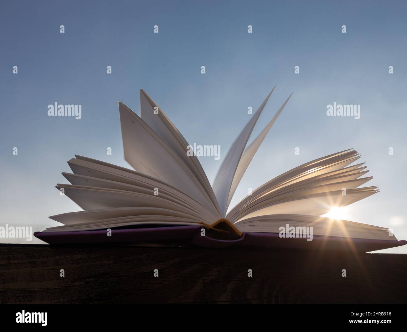 il sole splende attraverso le pagine aperte di un libro contro il cielo. Riposo e lettura. Legga il libro con piacere. Concetto educativo. e' ora di leggere. Scavo Foto Stock