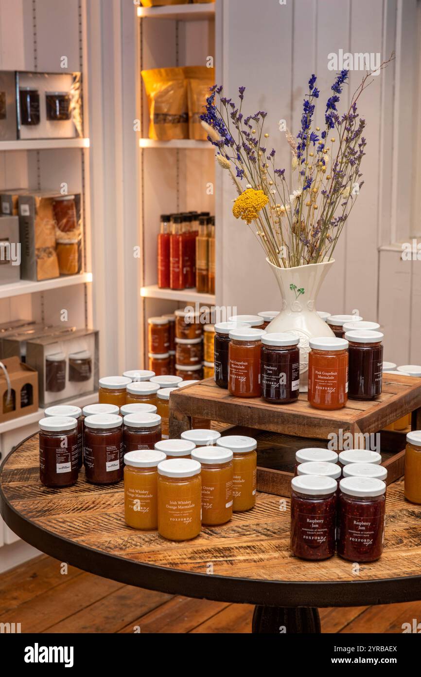 Irlanda, contea di Mayo, Foxford, negozio Woolen Mills, esposizione di conserve di produzione locale Foto Stock