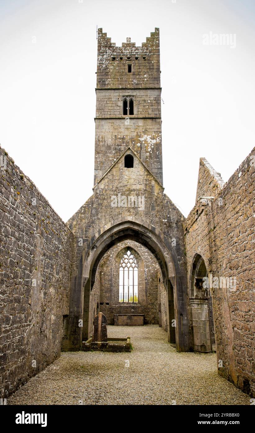Irlanda, Contea di Mayo, Rosserk, Rosserk Friary hanno rovinato gli interni Foto Stock