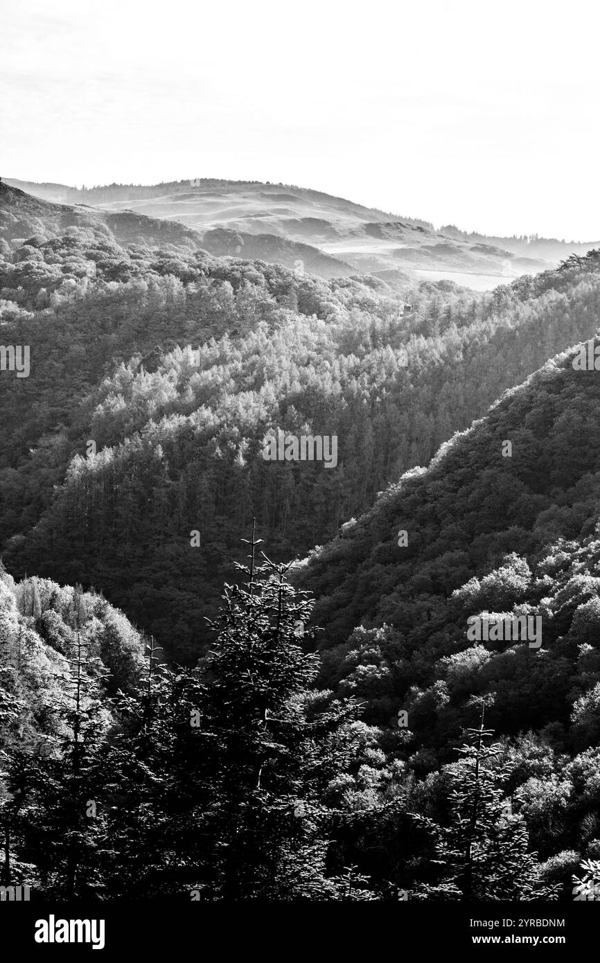 Vista in bianco e nero dalla luce del sole che cattura le creste boscose delle montagne Cambriane in Galles. Foto Stock
