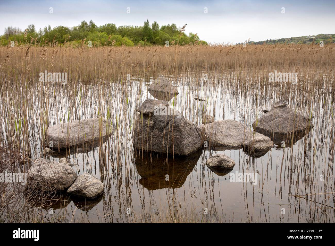 Irlanda, Contea di Mayo, Pontoon, Lough Conn shore Foto Stock