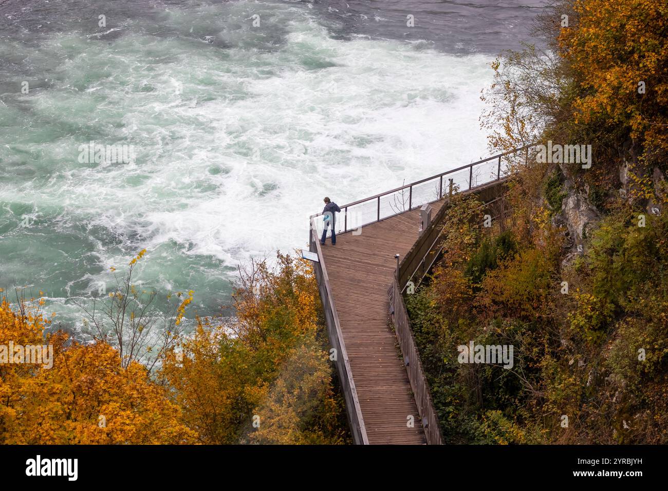 Cascate del Reno con castello di Laufen a Neuhausen am Rheinfall. Cantone di Sciaffusa in Svizzera Foto Stock