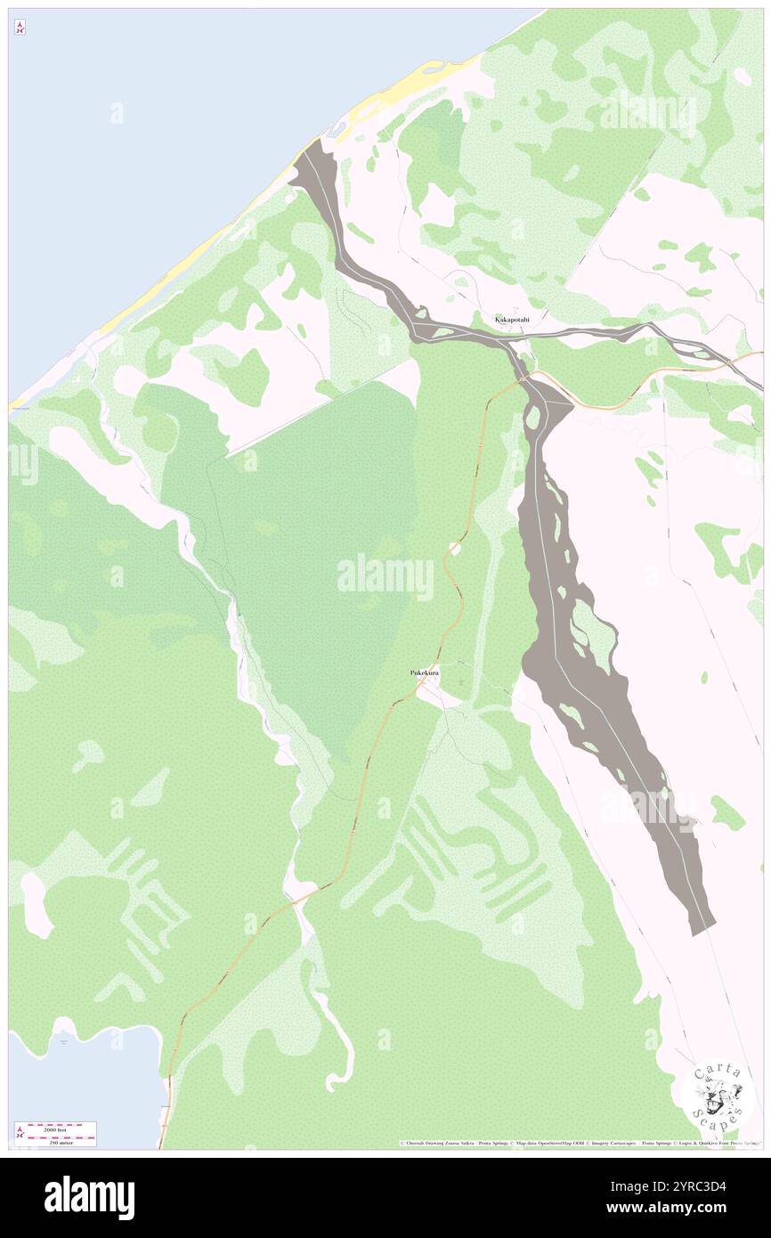 West Coast Region, NZ, nuova Zelanda, s 43 0' 0''', N 170 40' 0''', MAP, Cartascapes Map pubblicato nel 2024. Esplora Cartascapes, una mappa che rivela i diversi paesaggi, culture ed ecosistemi della Terra. Viaggia attraverso il tempo e lo spazio, scoprendo l'interconnessione del passato, del presente e del futuro del nostro pianeta. Foto Stock