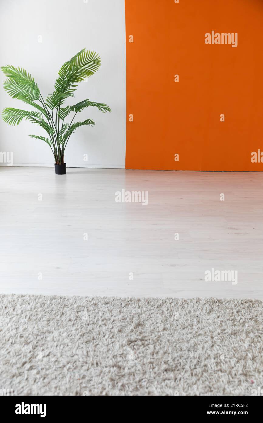 pianta all'interno di una stanza bianca e arancione vuota Foto Stock