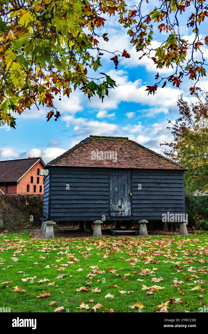 Tipico stoccaggio di granai montato su pietre a sella. Hall Place, Bexley. Foto Stock Tipico stoccaggio di granai montato su pietre a sella. Hall Place, Bexley. Foto Stock