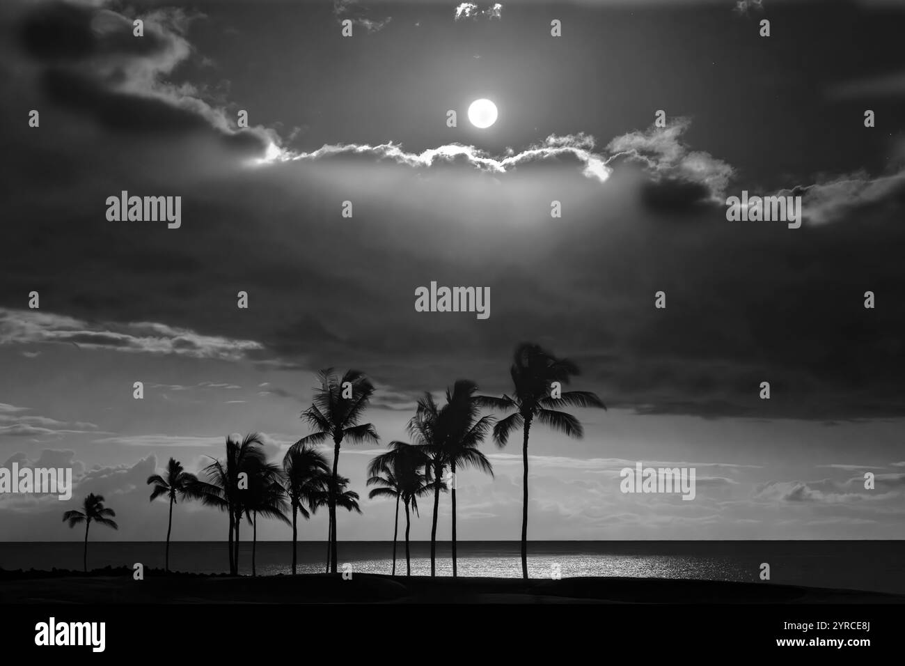 Tramonta lunare sull'oceano e sulle palme. Hawaii, la Big Island Foto Stock