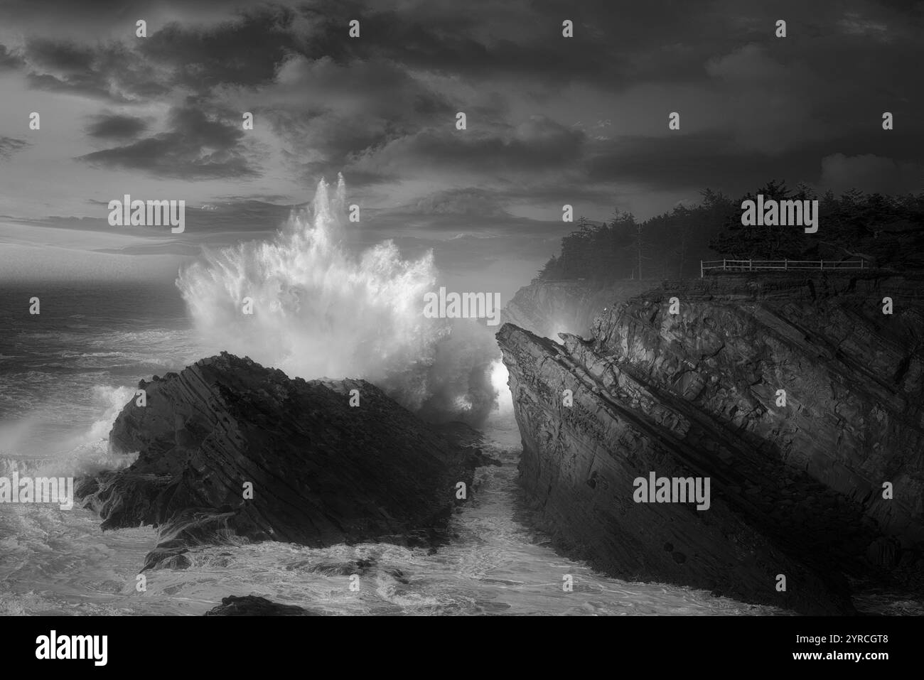 Wave al Shore Acres State Park, Oregon Foto Stock