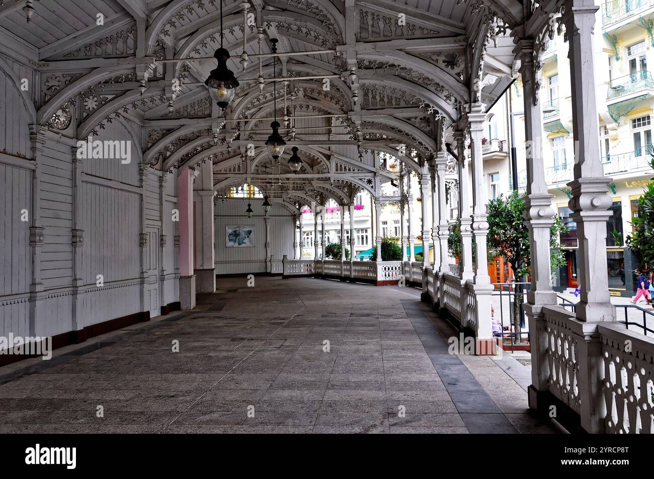 Český les a Karlovy Vary / Foresta Boema e Karlovy Vary Foto Stock