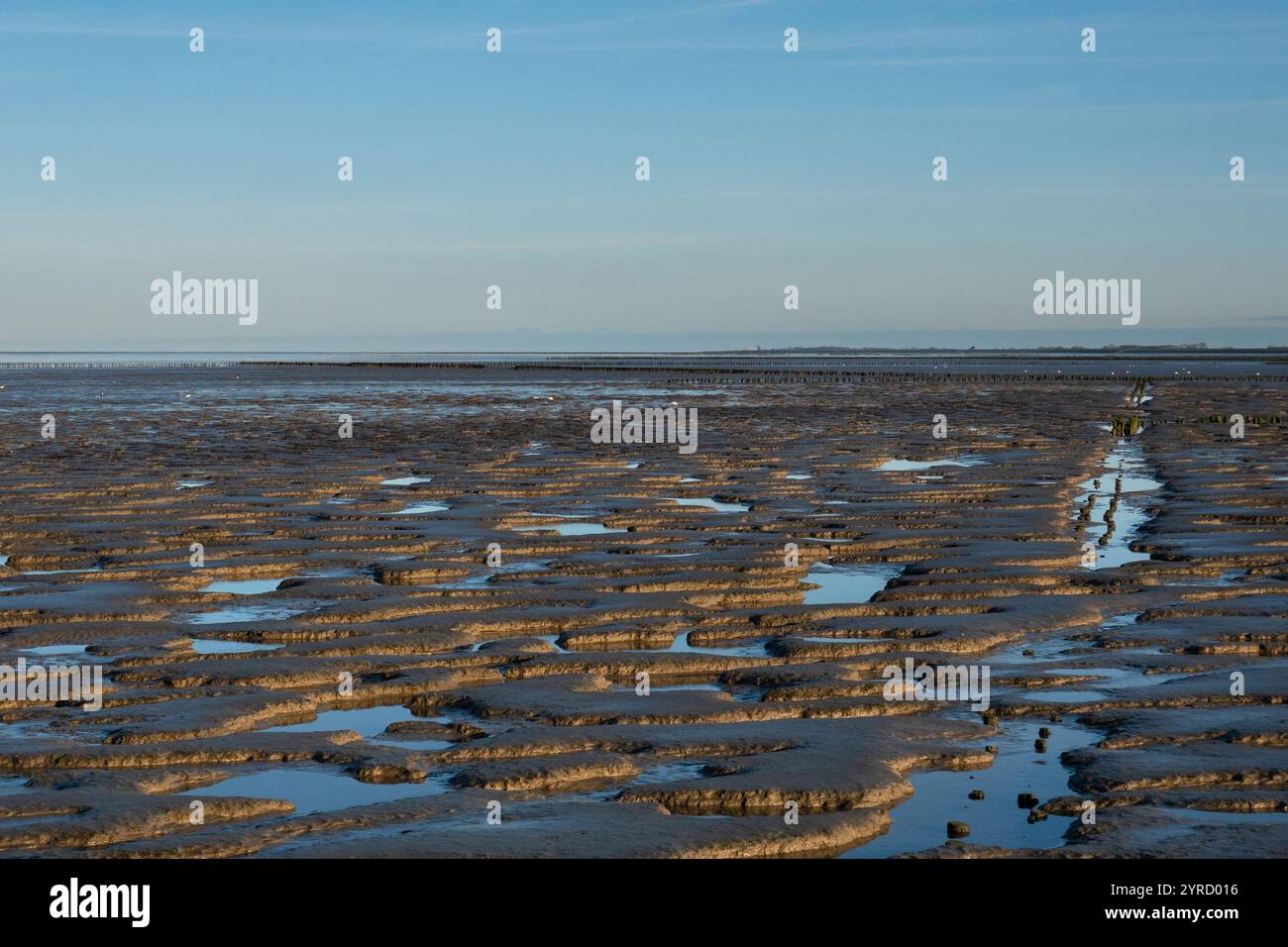 Fango mareale piatto con marea rigogliosa sotto il cielo blu Foto Stock