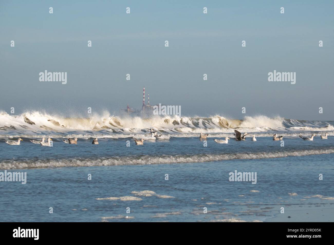 In lontananza una piattaforma di produzione offshore vicino all'isola olandese di Ameland, spiaggia, onde e gabbiani in primo piano Foto Stock