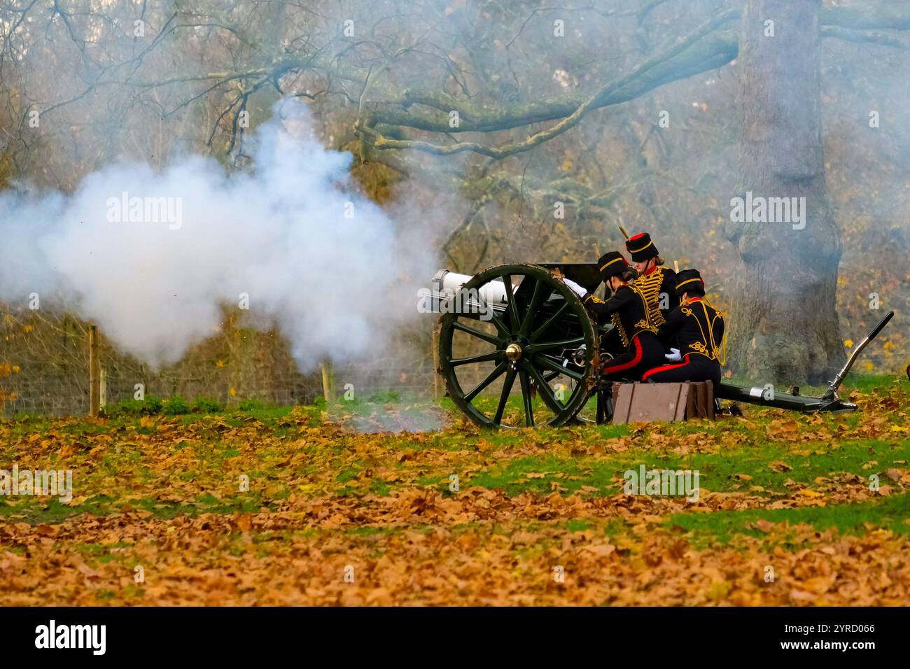 Londra, Regno Unito. 3 dicembre 2024. Un saluto del 41 per onorare l'Amir dello Stato del Qatar, eseguito dalla King's Troop Royal Horse Artillery, si è svolto a Green Park dopo la processione in carrozza durante il primo giorno della visita di Stato. Credito: Fotografia dell'undicesima ora/Alamy Live News Foto Stock