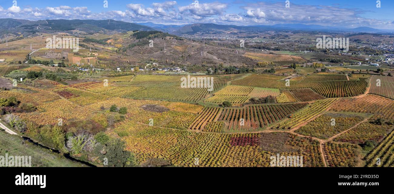 Vigneti autunnali intorno a Cacabelos, regione di El Bierzo, Comunità autonoma di Castiglia e León, Spagna. Foto Stock