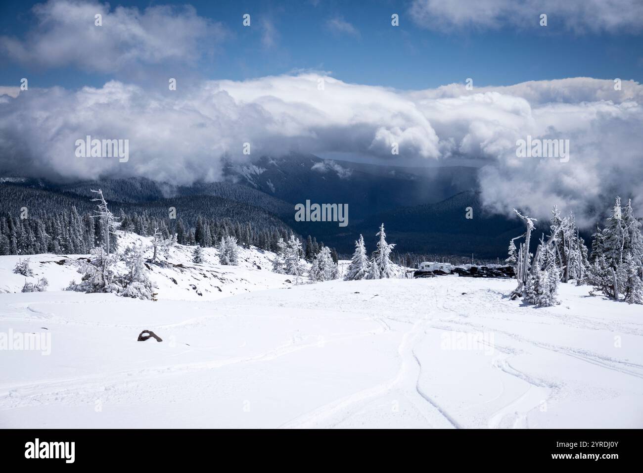 Paesaggio montano innevato con cielo nuvoloso e pini in inverno Foto Stock