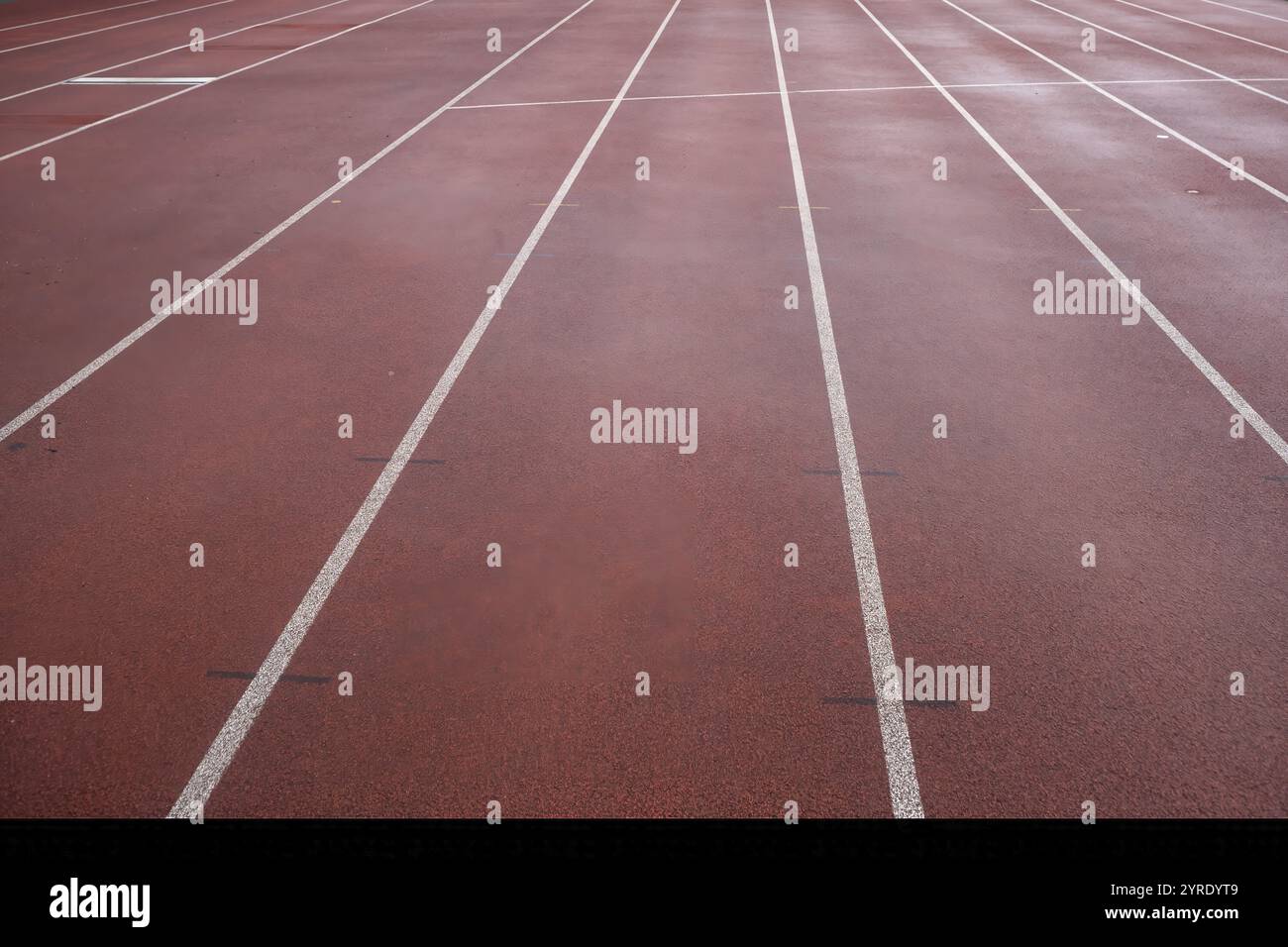 Pista sintetica bagnata nello stadio di atletica Foto Stock
