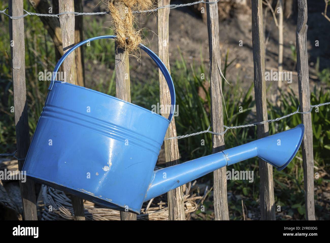 Annaffiatoio blu in una recinzione Foto Stock