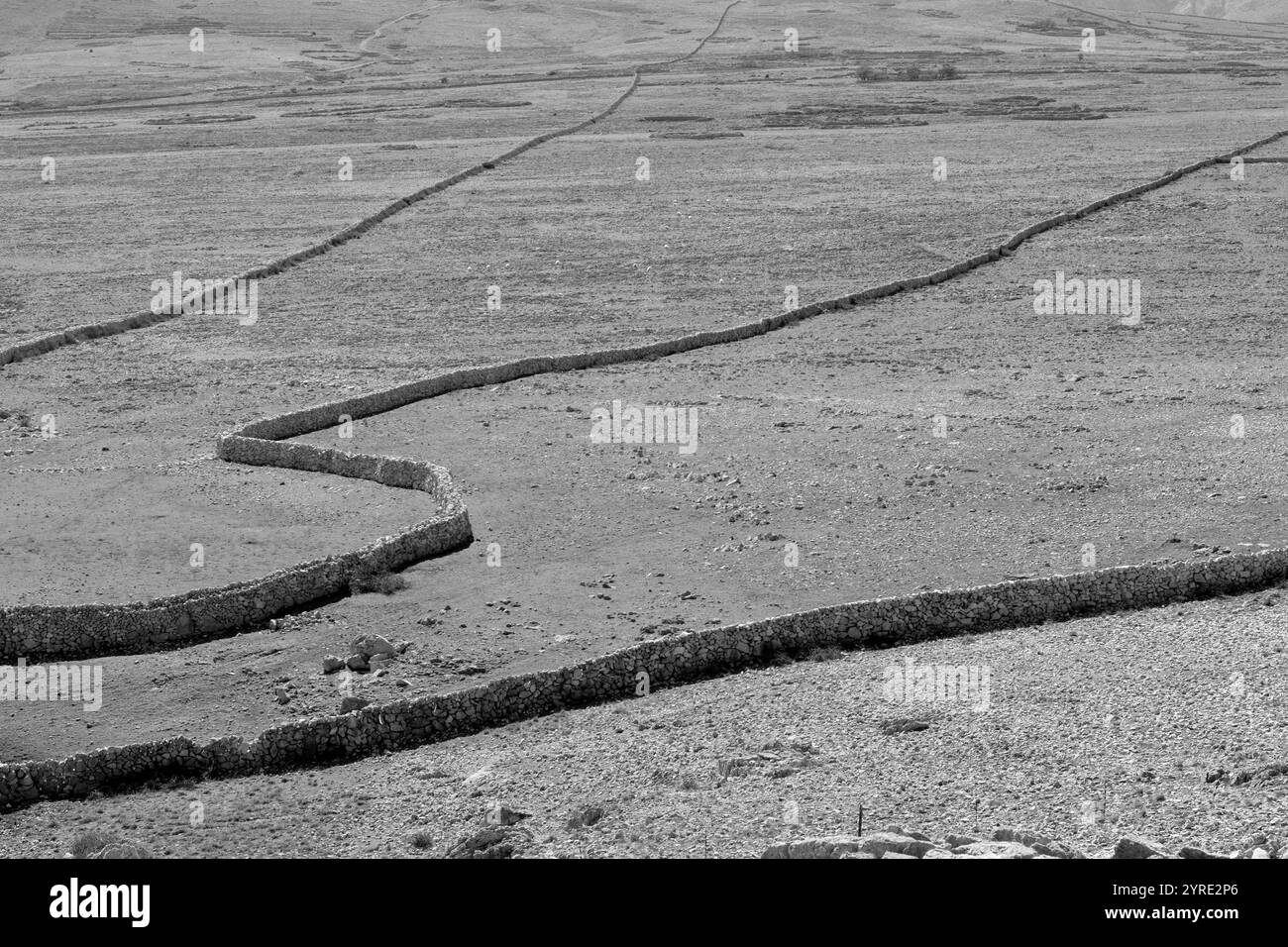 Muretti a secco intersecano l'area desertica dell'isola di Krk chiamata altopiano della Luna (Platone Mjeseca) Foto Stock