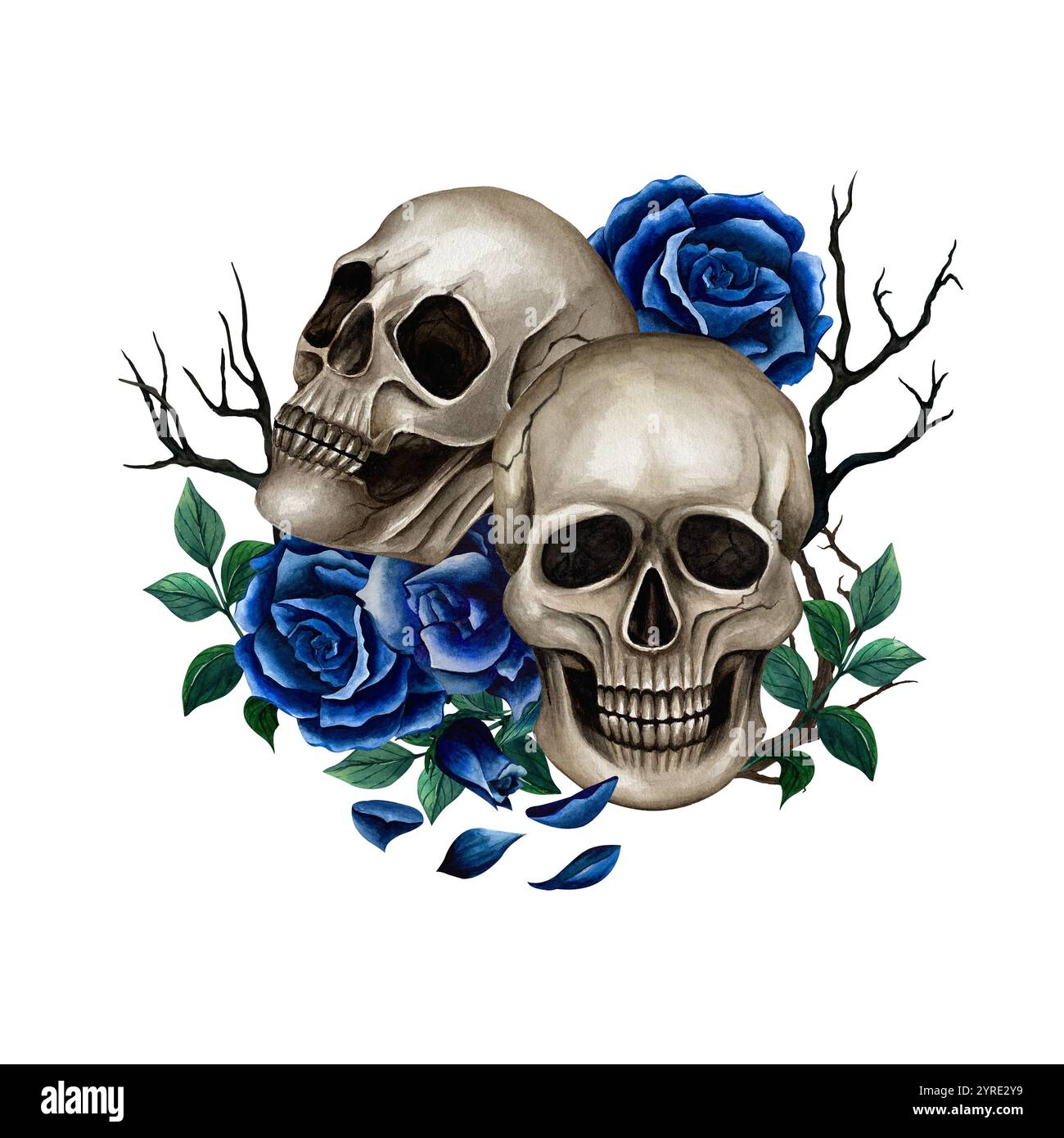 Composizione con due teschi, rose blu, rami e foglie. Illustrazione ad acquerello per Halloween e Day of the Dead su sfondo bianco. st. Gotica Foto Stock
