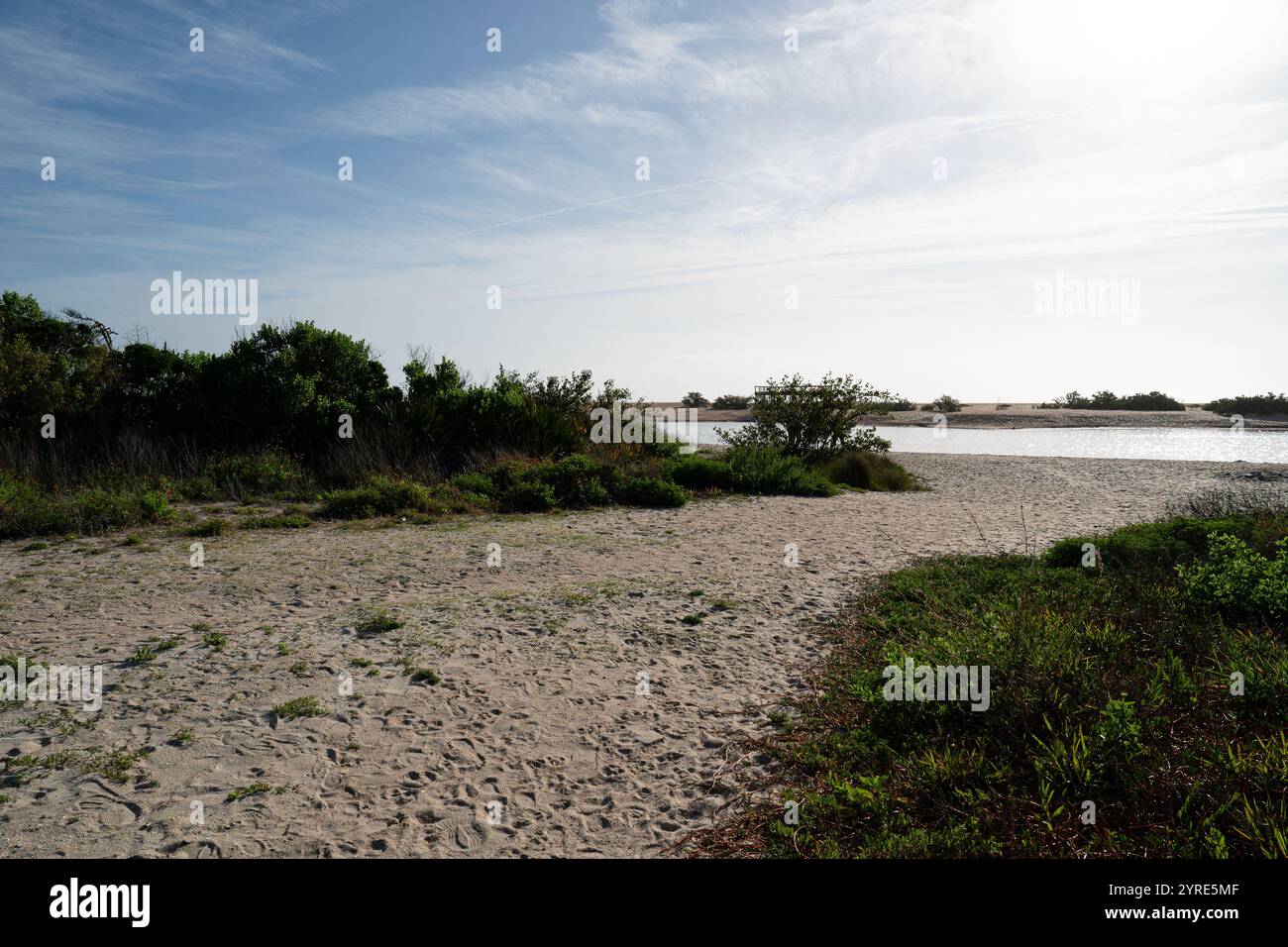 Su una spiaggia della Florida, una piccola duna è stata selezionata per prendere un campione da cui una squadra della University of Florida e del U.S. Army Corps of Engineers, Engineer Research and Development Center in modo che possano studiare la sua struttura interna. Il team di ricerca EWN del Centro di ricerca e sviluppo degli ingegneri (ERDC), insieme ai partner della rete per l'ingegneria con la natura (N-EWN), in coordinamento con le agenzie locali, ha intrapreso uno studio innovativo per studiare i fattori ecologici della stabilità delle dune. Questa ricerca migliorerà la nostra comprensione del ruolo del naturale Foto Stock