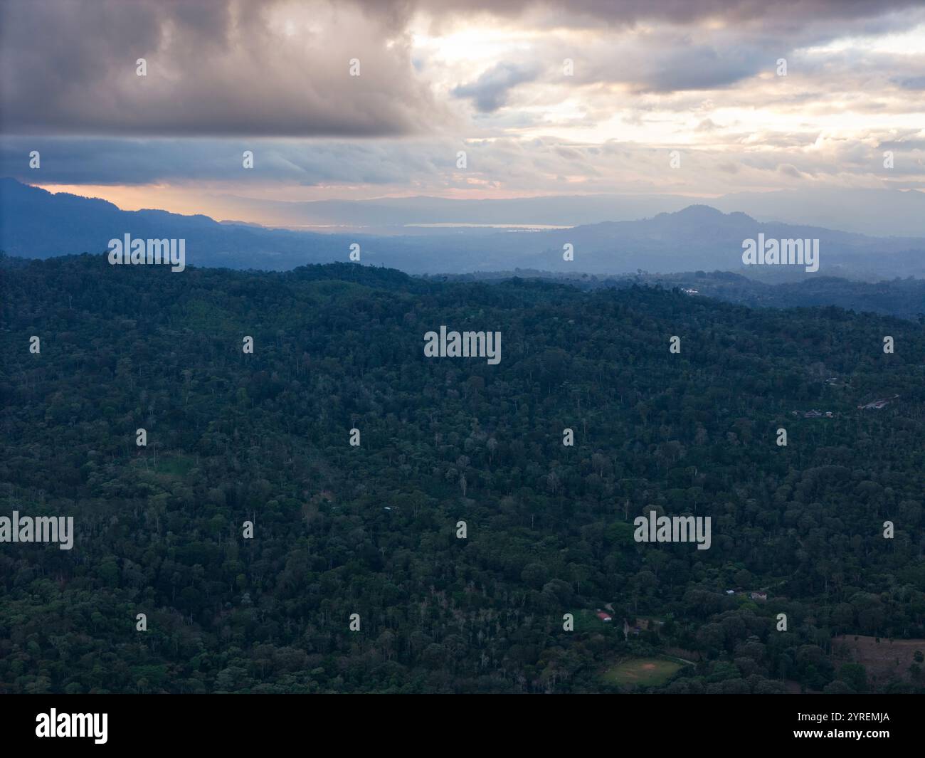 La vasta foresta verde si estende attraverso colline ondulate sotto il cielo nuvoloso mentre il sole tramonta all'orizzonte. Foto Stock