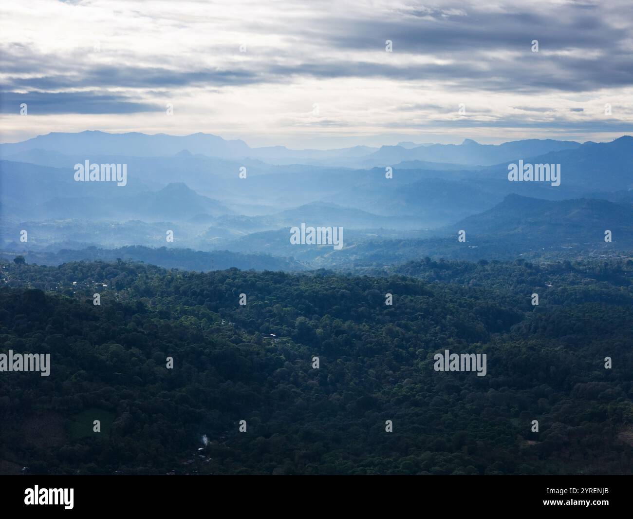Vista delle morbide montagne blu e delle lussureggianti foreste che si estendono all'orizzonte durante la luce dell'alba. Foto Stock