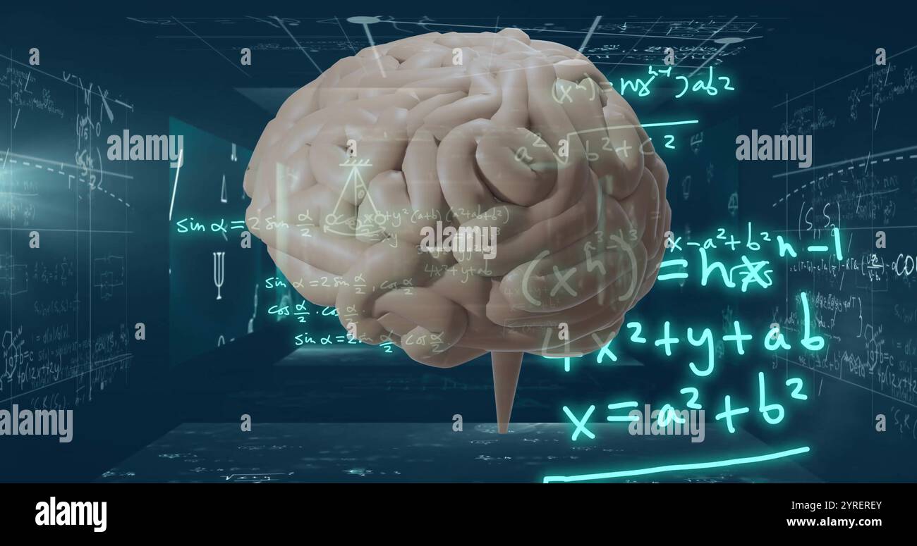 Immagine del cervello umano, elaborazione dati matematici ai Foto Stock