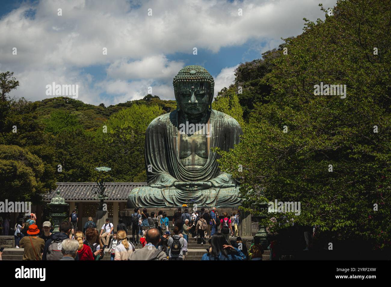 L'iconica statua di Buddha a Kamakura, in Giappone, si erge maestosamente, incarnando pace e serenità, un simbolo del patrimonio culturale e spirituale del Giappone Foto Stock