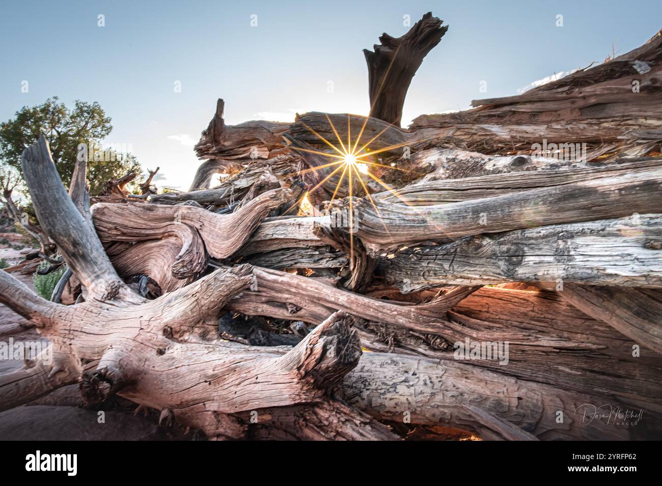 Stella del sole al Canyonlands National Park, Utah, Stati Uniti Foto Stock