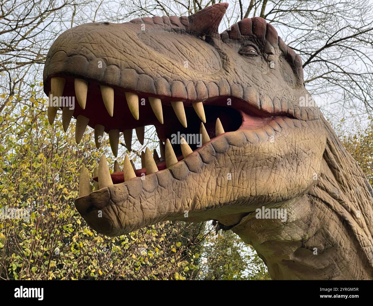 T-Rex dirigiti all'attrazione turistica Wookey Hole, Somerset, Regno Unito. - Immagine stock catturata con smartphone