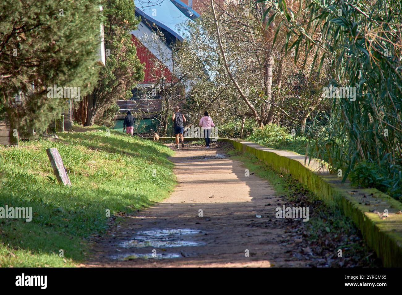 Tre persone camminano con un cane in un parco verde, si divertono all'aperto e celebrano una giornata rilassante nella natura sotto il sole. Foto Stock