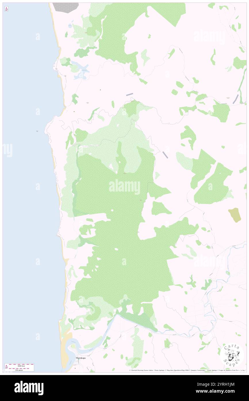 Harihari, nuova Zelanda, Auckland, S 38 14' 53'', N 174 44' 24''', MAP, Cartascapes Map pubblicata nel 2024. Esplora Cartascapes, una mappa che rivela i diversi paesaggi, culture ed ecosistemi della Terra. Viaggia attraverso il tempo e lo spazio, scoprendo l'interconnessione del passato, del presente e del futuro del nostro pianeta. Foto Stock