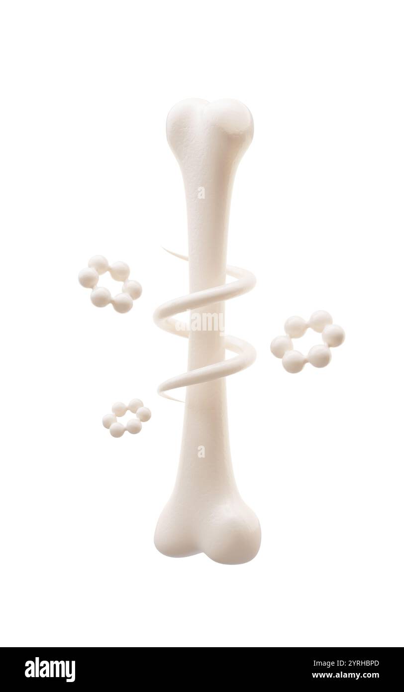 Anatomia biologica dello scheletro e della salute ossea, rendering 3d. Illustrazione 3D. Foto Stock
