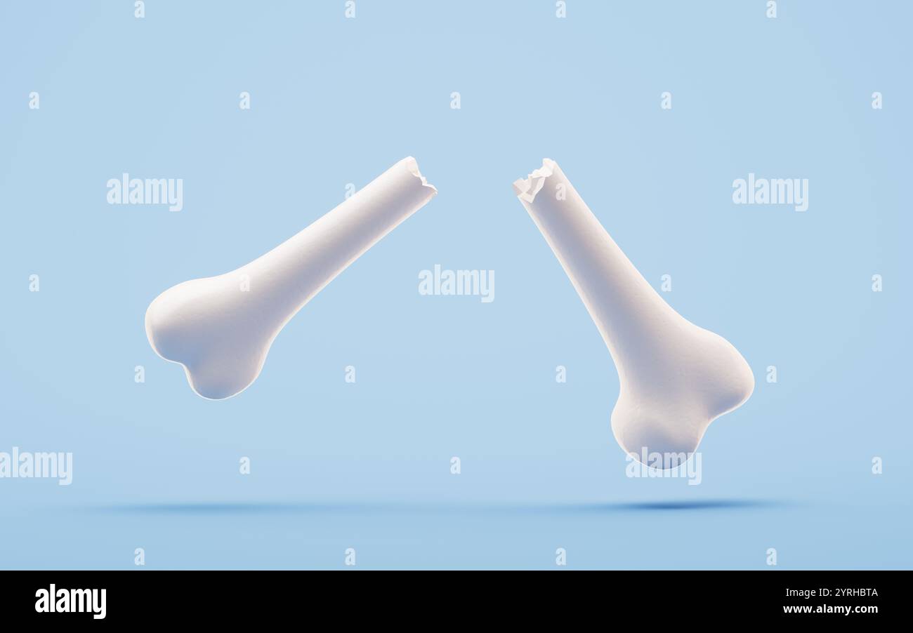 Anatomia biologica dello scheletro e della salute ossea, rendering 3d. Illustrazione 3D. Foto Stock